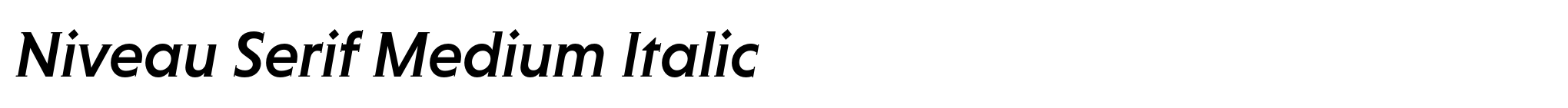 Niveau Serif Medium Italic image